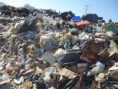 /album/visita-a-la-recicladora/p1010418-jpg/