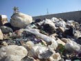/album/visita-a-la-recicladora/p1010419-jpg/